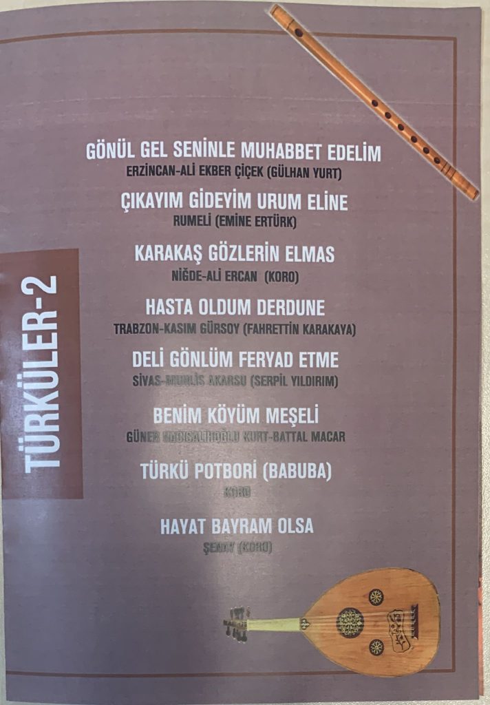 Türküler 2 afişi